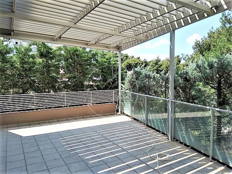 223743_869659_x.jpg
